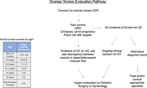 precautions of torsion test|ovarian torsion age.